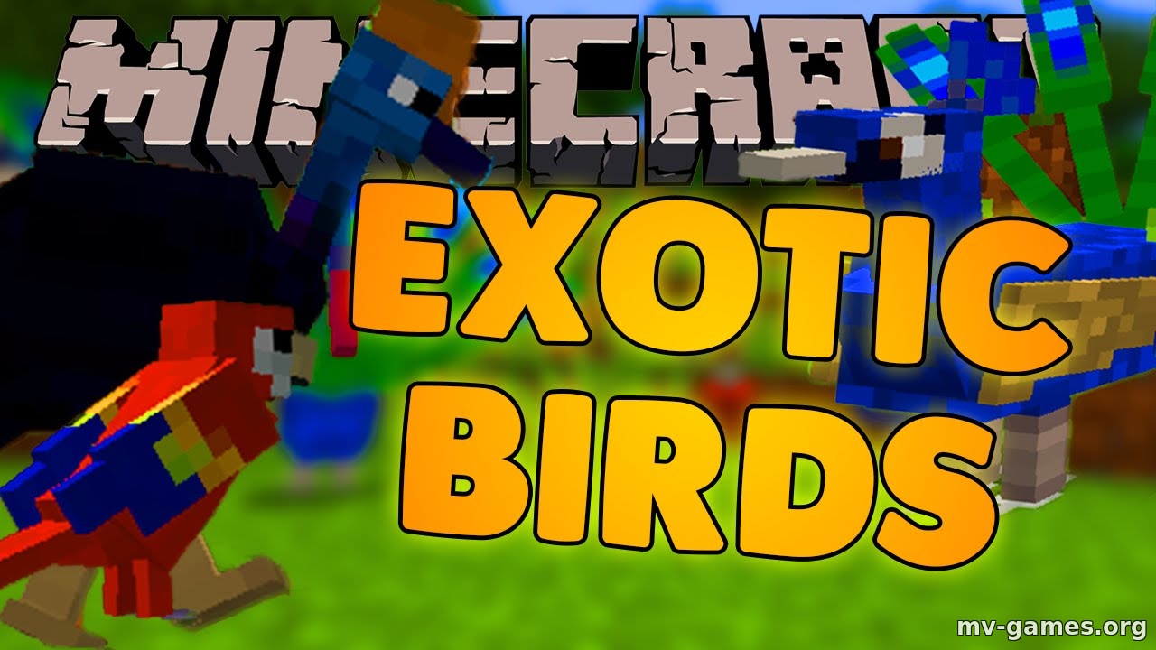 Скачать Мод Exotic Birds для Minecraft 1.19 Бесплатно