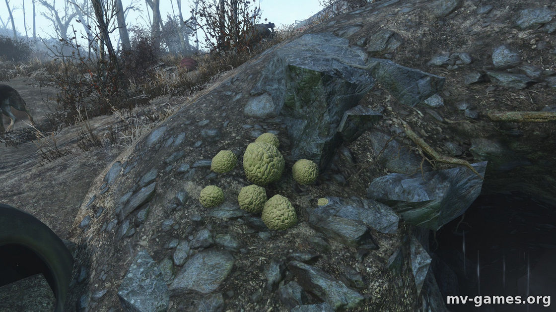 Мод Улучшенный мозговой гриб для Fallout 4