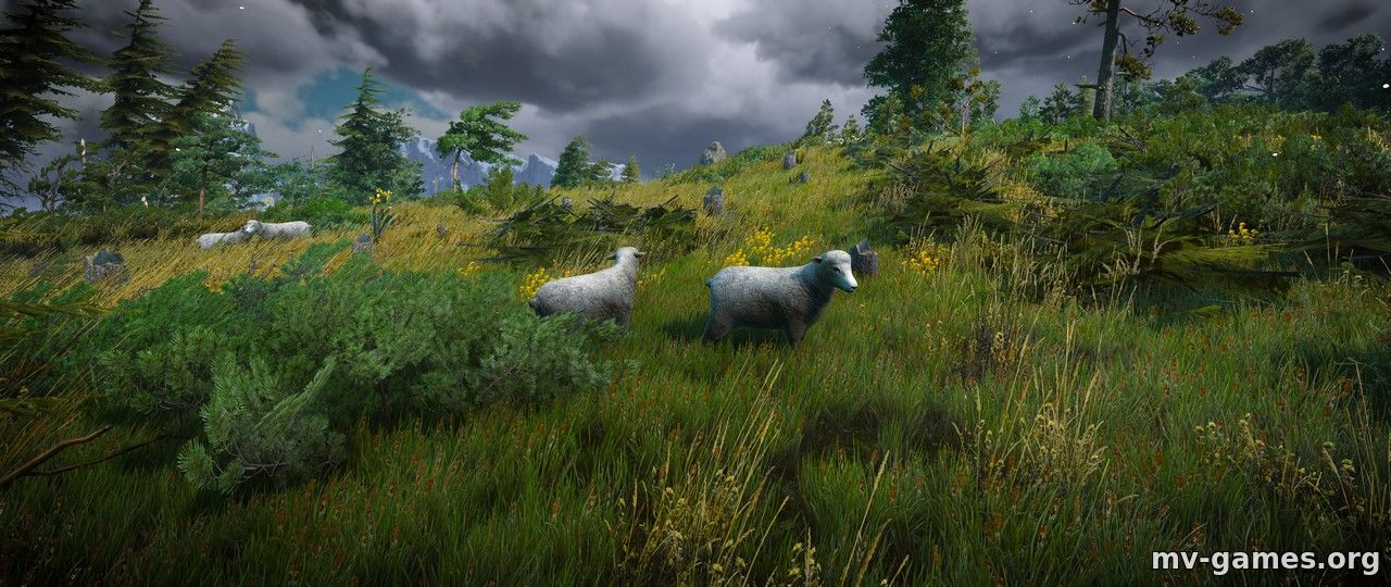 Мод HD Овцы для Ведьмак 3