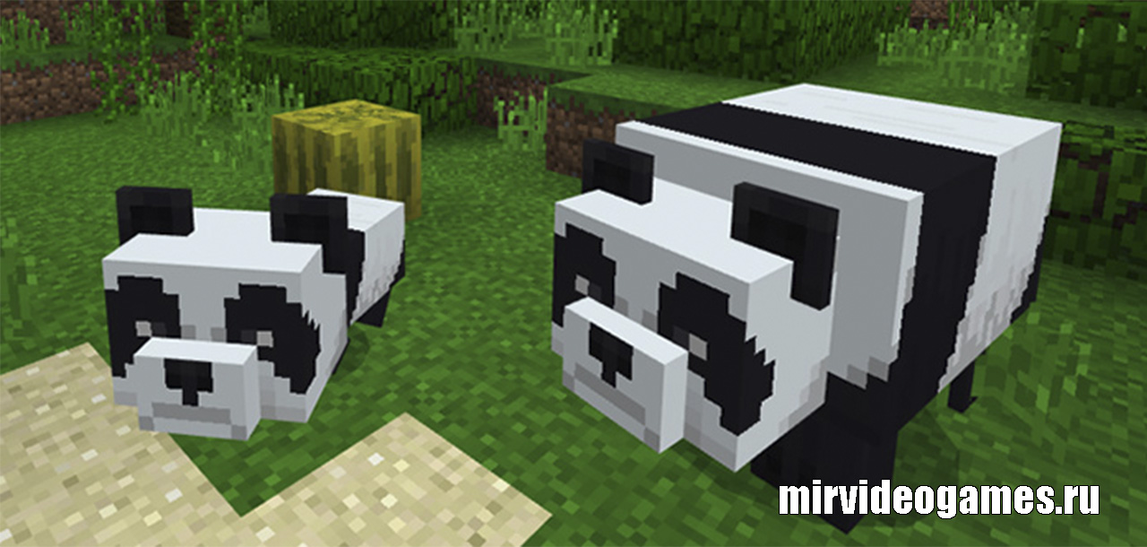 Скачать Мод Panda Bear для Minecraft PE 1.5 Бесплатно