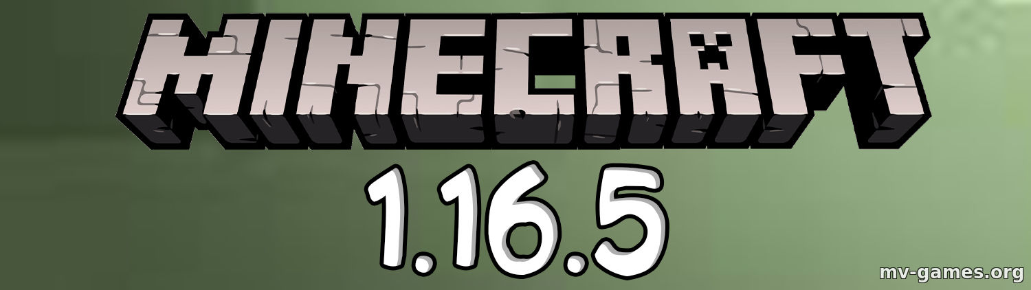 Скачать Скачать Minecraft 1.16.5 Бесплатно Бесплатно
