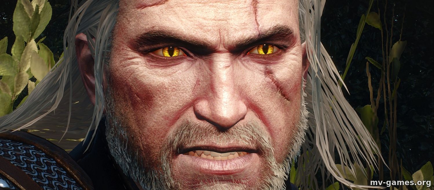 The Witcher 3 больше не самая награждаемая игра в истории — это звание досталось The Last of Us: Part 2